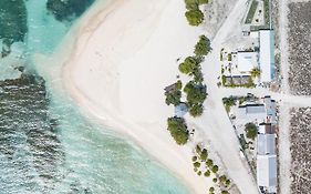 One The Island